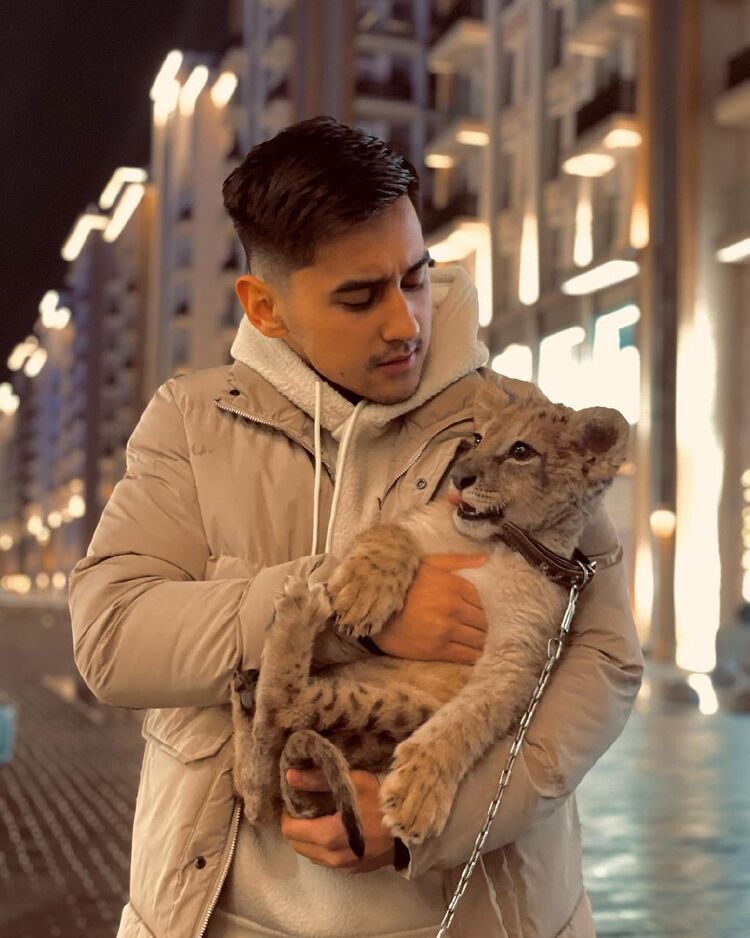 ���������� ������, ���� ������� �����, 26 ���, ������������ ��� ������, ����� � ���������