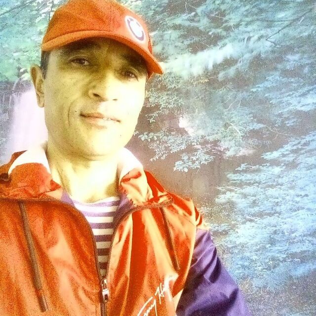  29921031  , 49 ,    