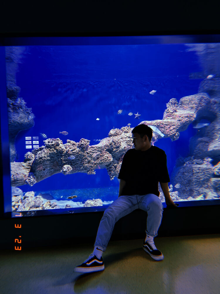 ���� 35632601 ����� ����, 23 ����, ���� ���������� � �������