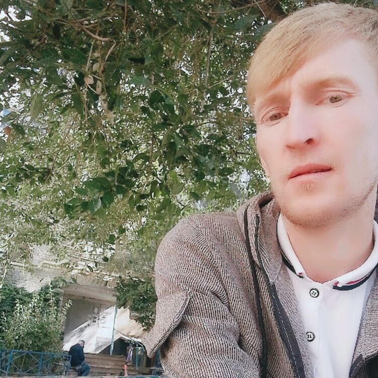 ���� 42826421 ������� �����, 33 ����, ���� ���������� � ����������