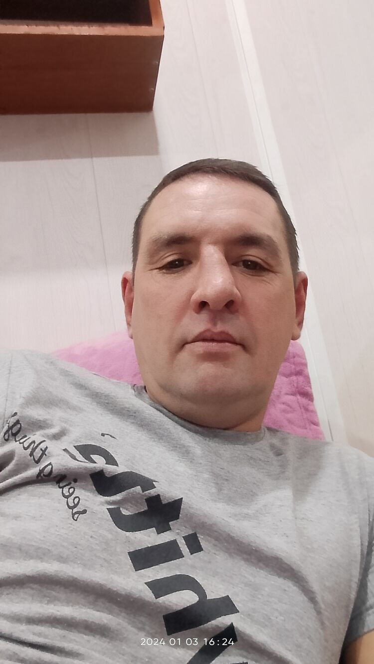  43687971  , 44 ,    