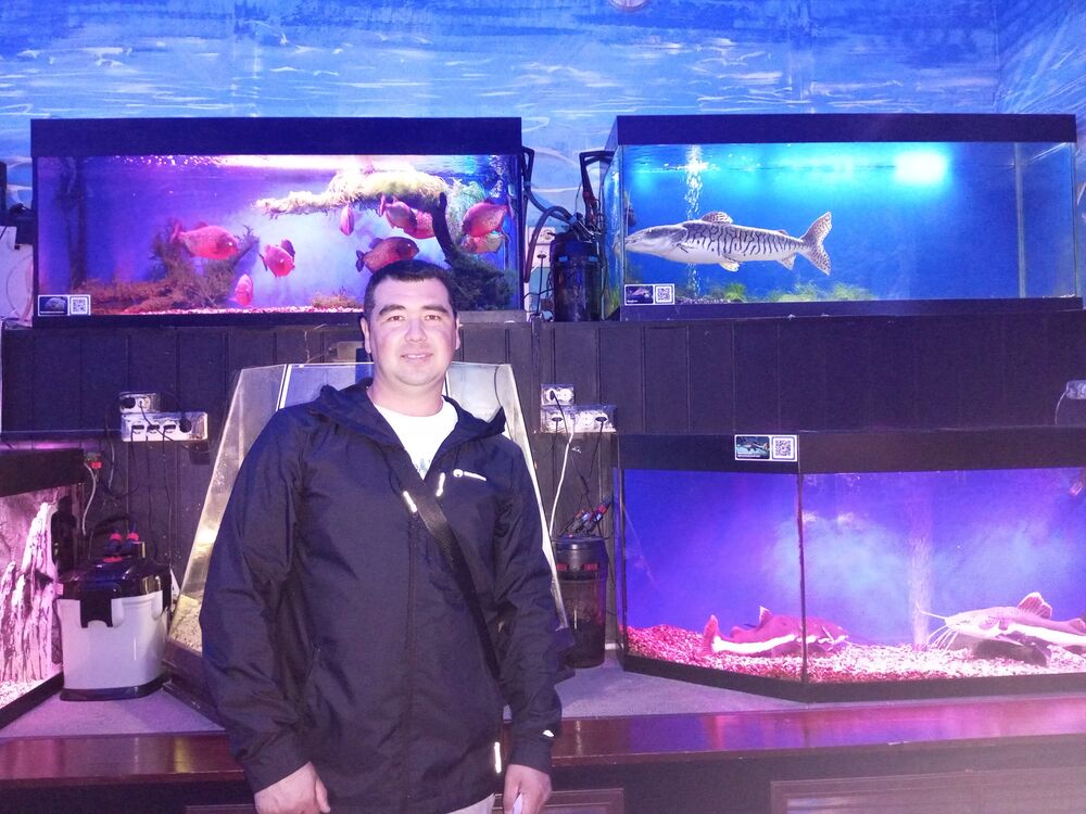 ���������� ���������, ���� ������� �����, 36 ���, ������������ ��� ������, ����� � ���������