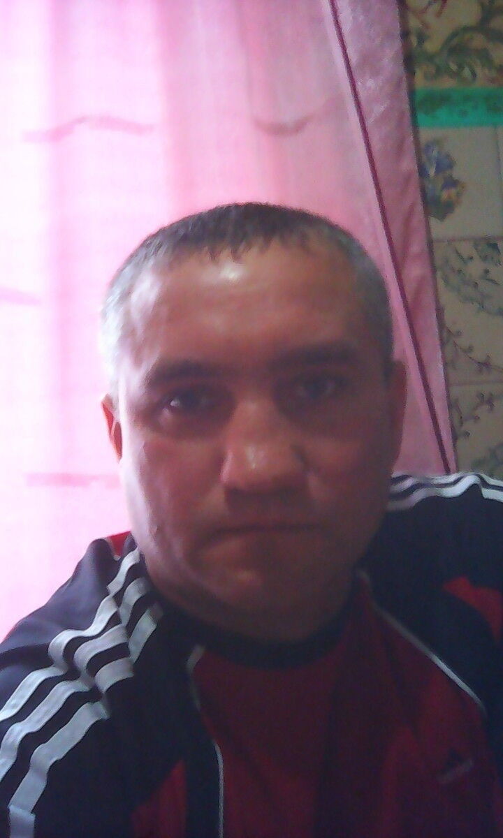  7333841  , 50 ,    