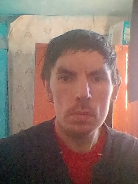  24557721  , 31 ,    