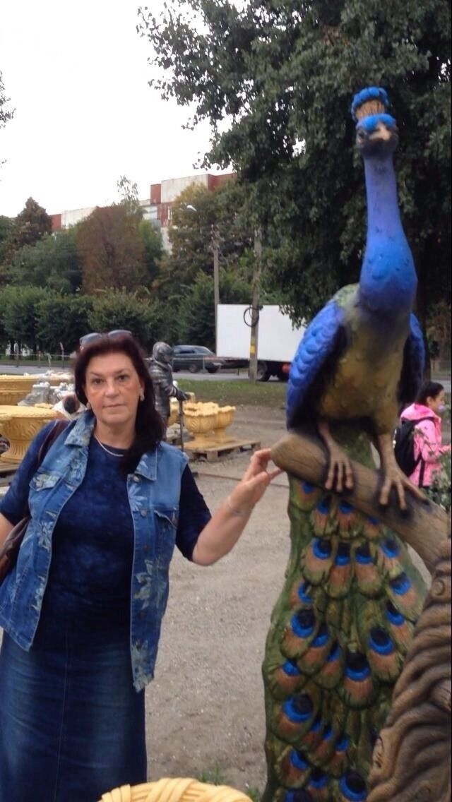  ,   , 58 ,   ,   , c 