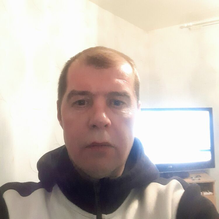 39782381  , 50 ,    