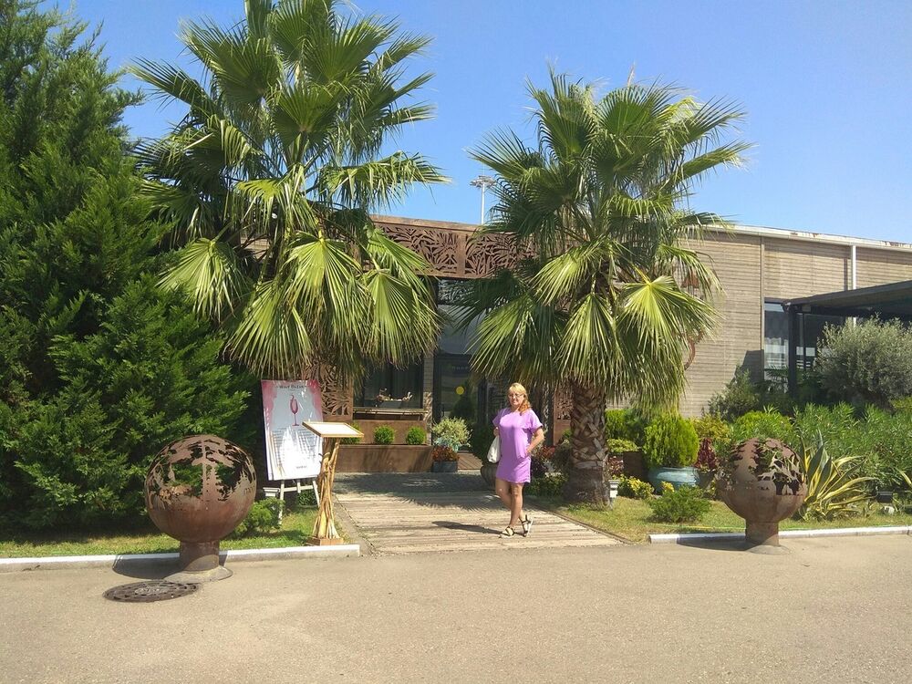 ���������� ������������, ���� ������� �����, 49 ���, ������������ 