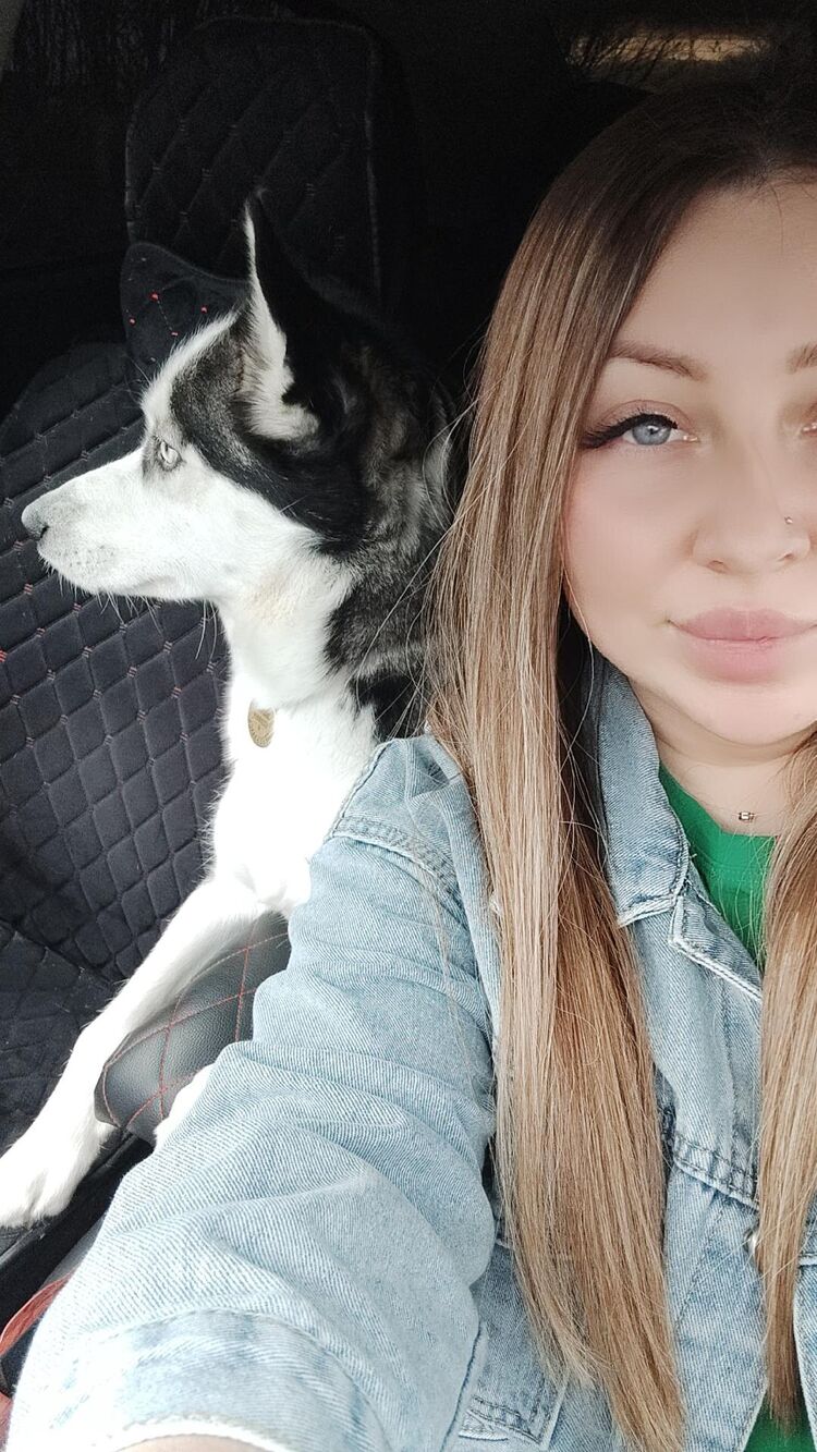  53283321  , 31 ,    -