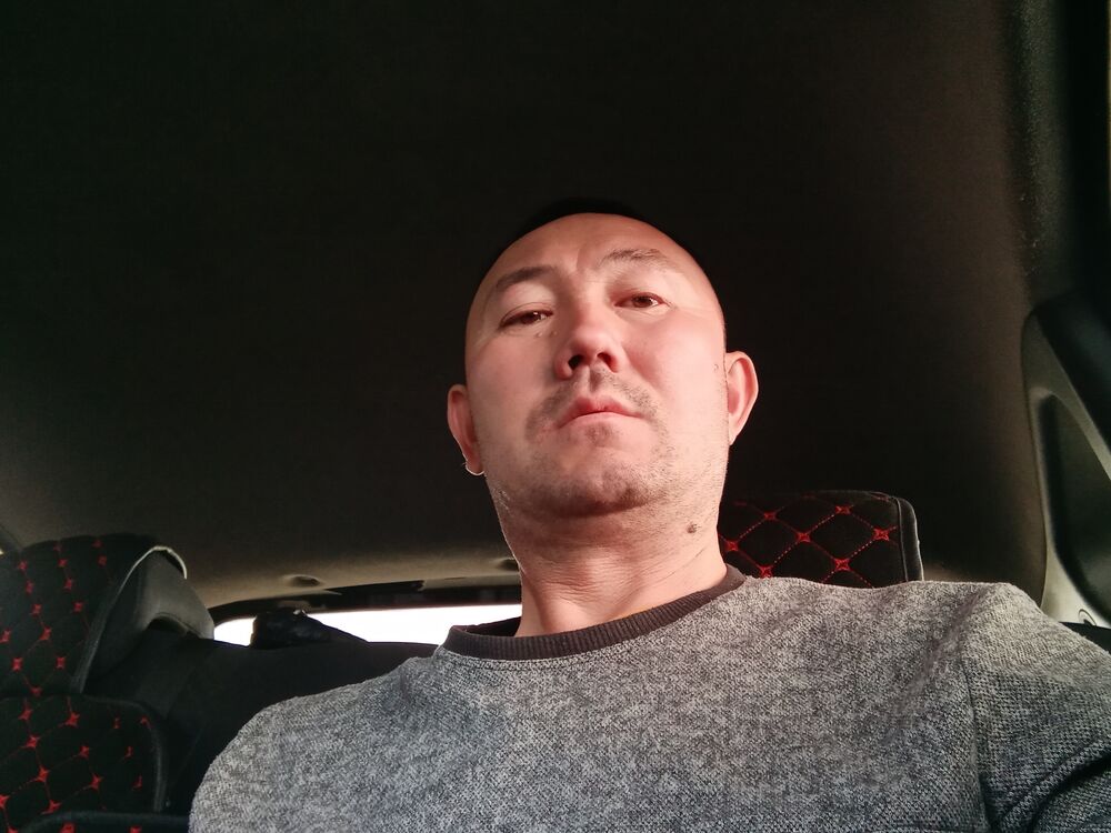  23245861  , 48 ,    
