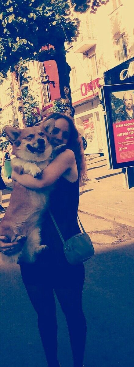 ���� 16623221 ������� �������, 25 ���, ���� ���������� � ��������