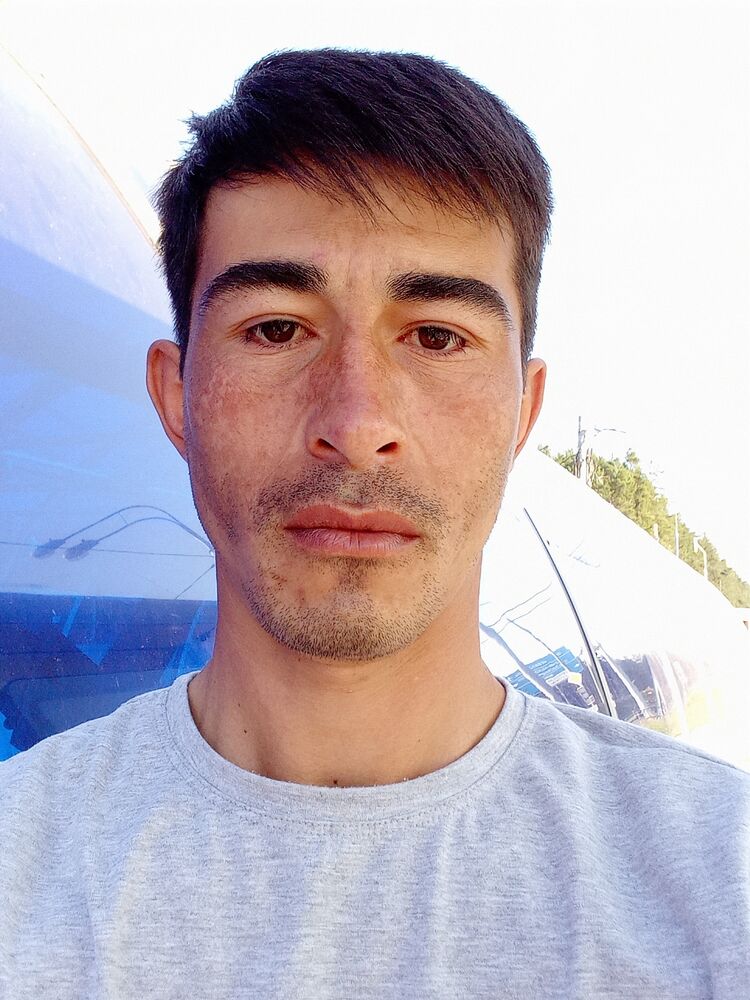  36688811  , 31 ,    