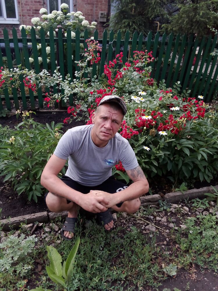  45081651  , 41 ,    
