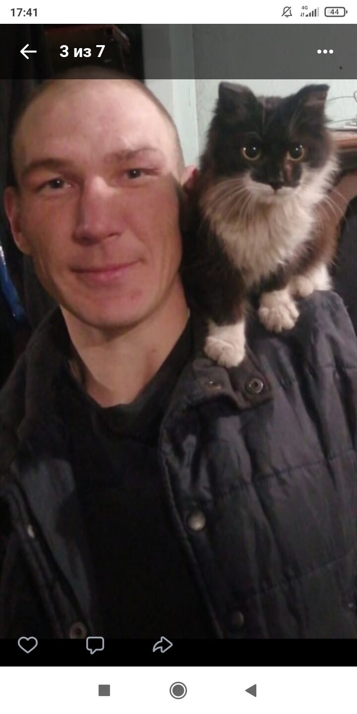 ���������� �����������-��-�����, ���� ������� Dmitry, 31 ���, ������������ ��� c�������� ���������