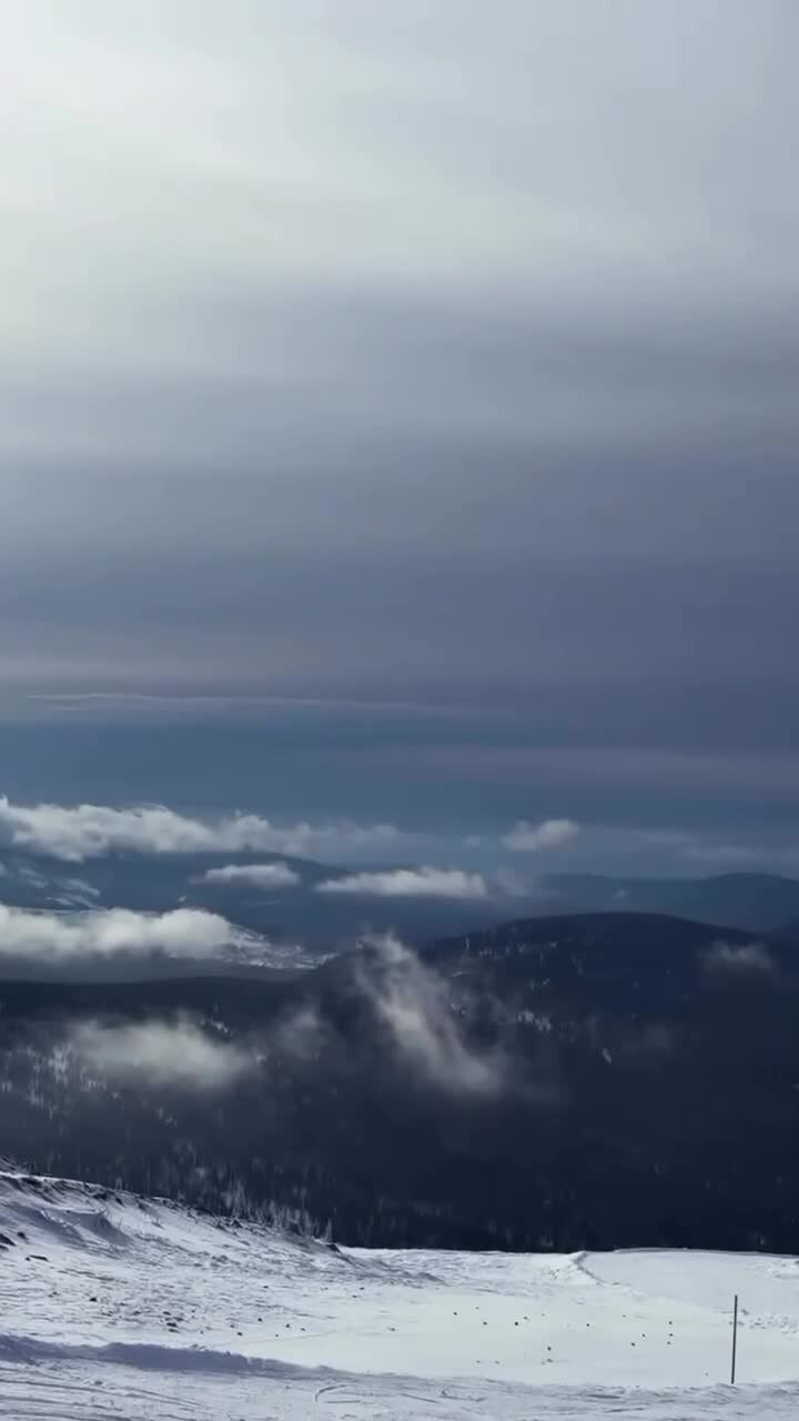 ���� 56041811 ������� ����������, 45 ���, ���� ���������� � ������������