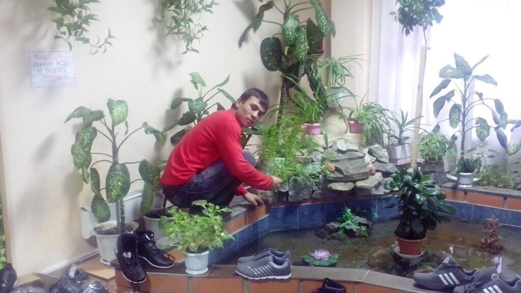 ���� 6527481 ������� ����, 34 ����, ���� ���������� � ������