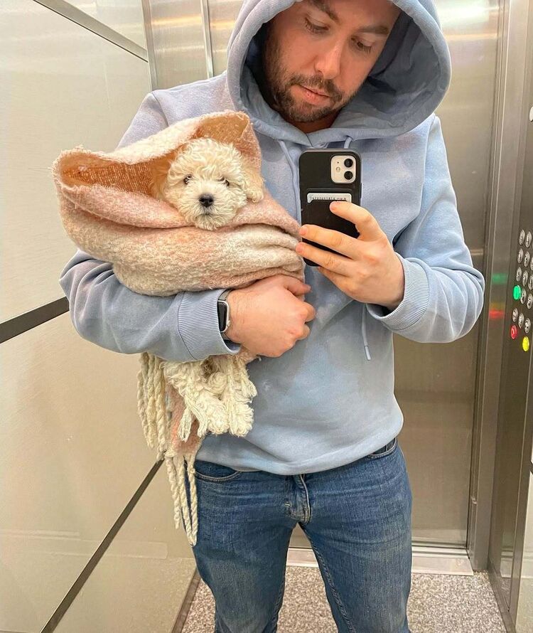 ���� 55141341 ������� ��������, 37 ���, ���� ���������� � ������