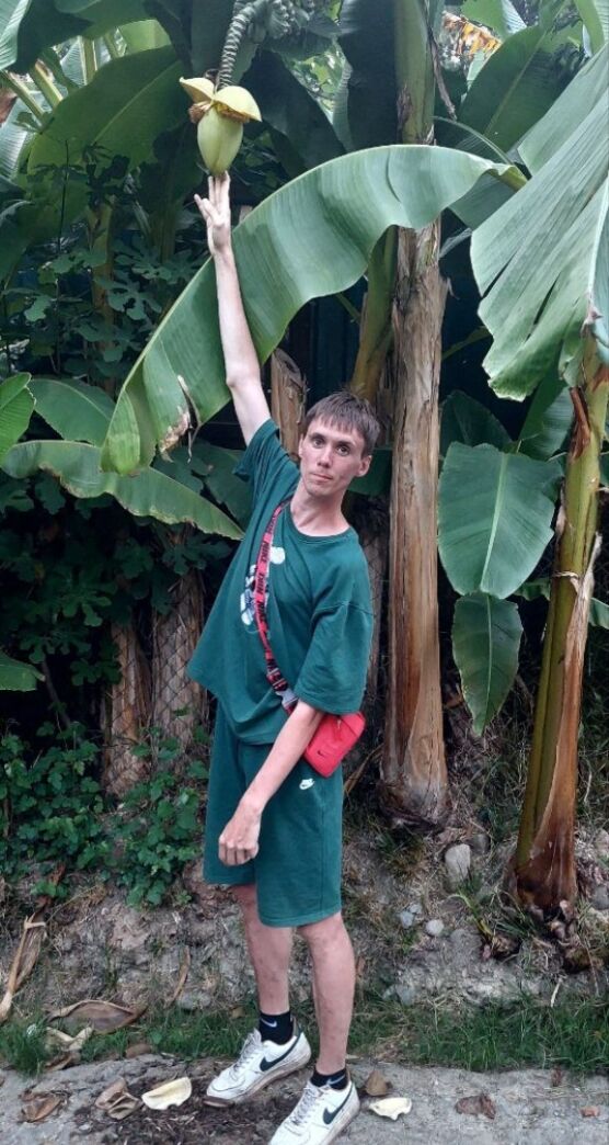  ,   Chocolatebo, 33 ,     , c 