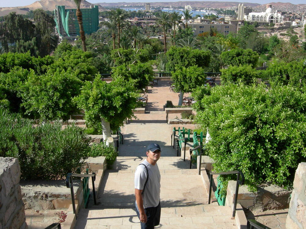 ���� 31526301 ������� �������, 45 ���, ���� ���������� � ������