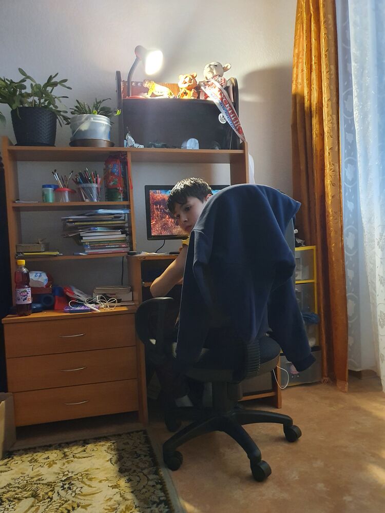  29948231  , 53 ,    -