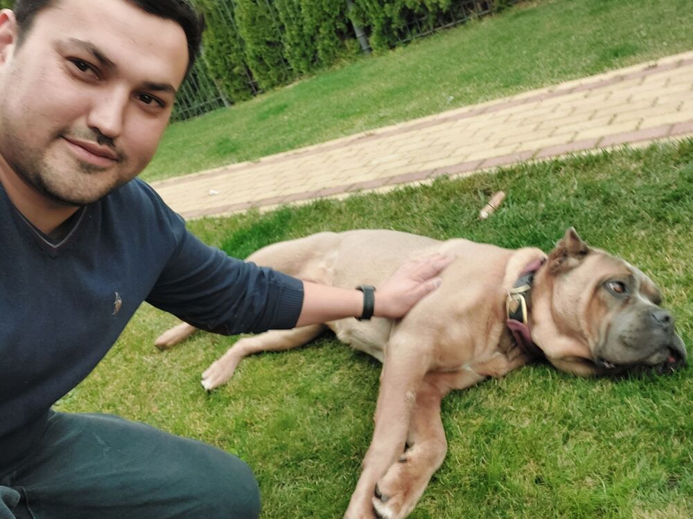 ���������� ������, ���� ������� �����, 31 ���, ������������ ��� ������, ����� � ���������