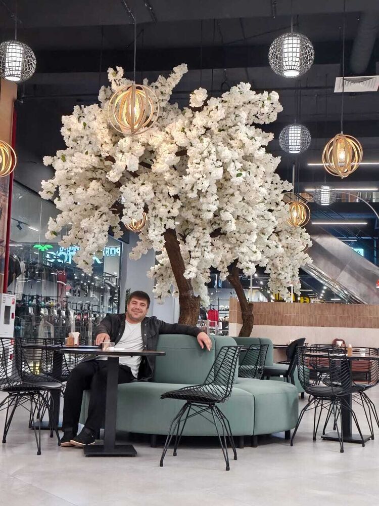 ���� 55979441 ������� ���, 29 ���, ���� ���������� � �����