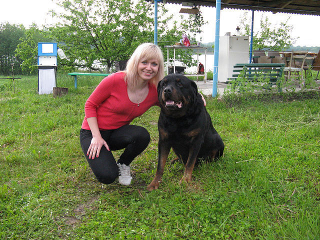 ���������� ���������, ���� ������� �������, 48 ���, ������������ ��� c�������� ���������