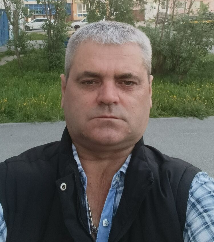  52371831   , 49 ,    