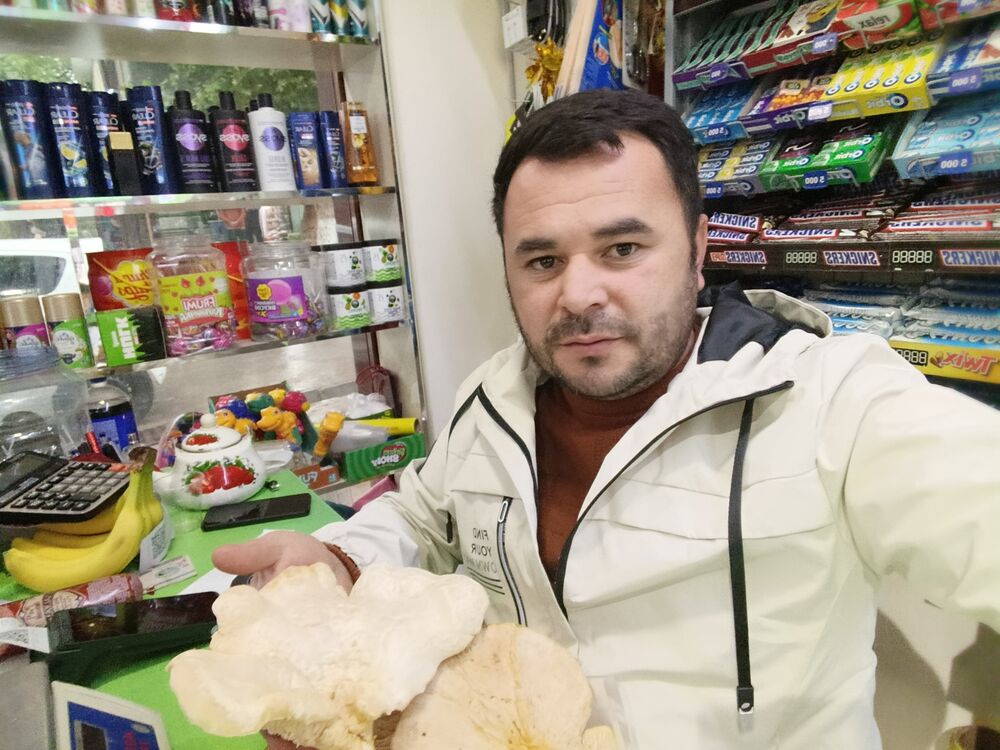  ,   Shavkat, 34 ,   ,   