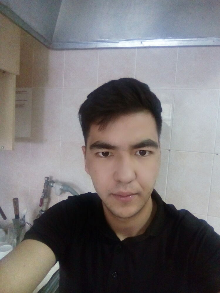  15043811  , 38 ,    
