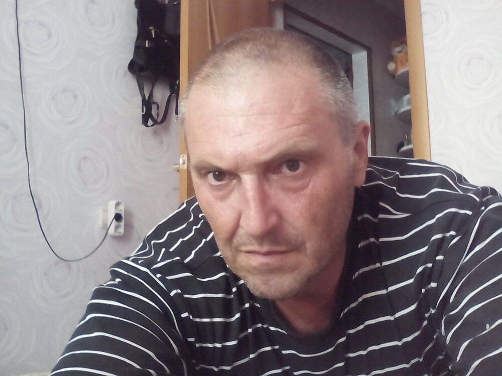  9944491  VITEK, 56 ,    