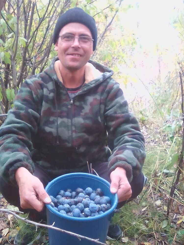 ���������� �������������, ���� ������� �������, 43 ����, ������������ ��� ������, ����� � ���������, c�������� ���������