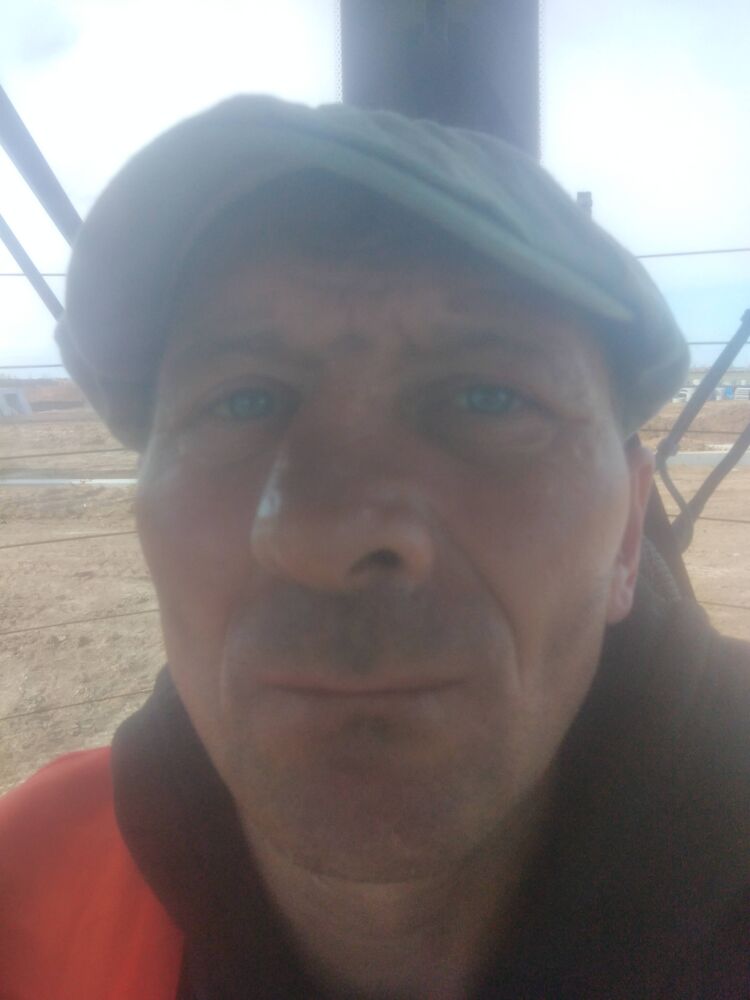  42861801  , 44 ,    