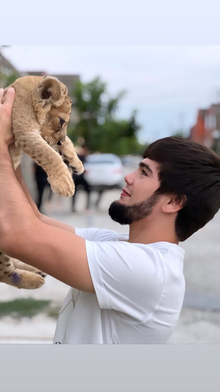 ���������� ��������, ���� ������� Said, 26 ���, ������������ ��� ������, ����� � ���������