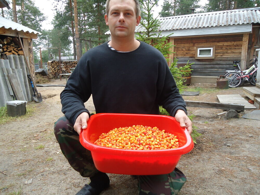  ,   Greyleon, 45 ,   , c 