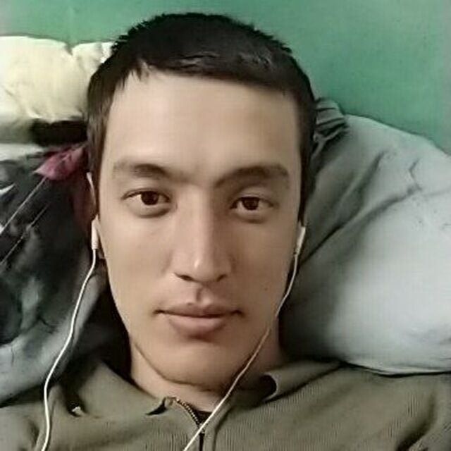  22667201  , 31 ,    