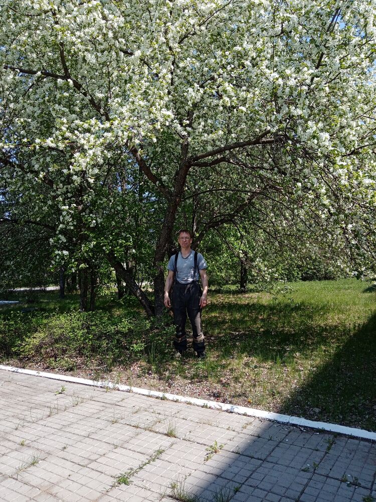  52810761  Aleksei, 50 ,    