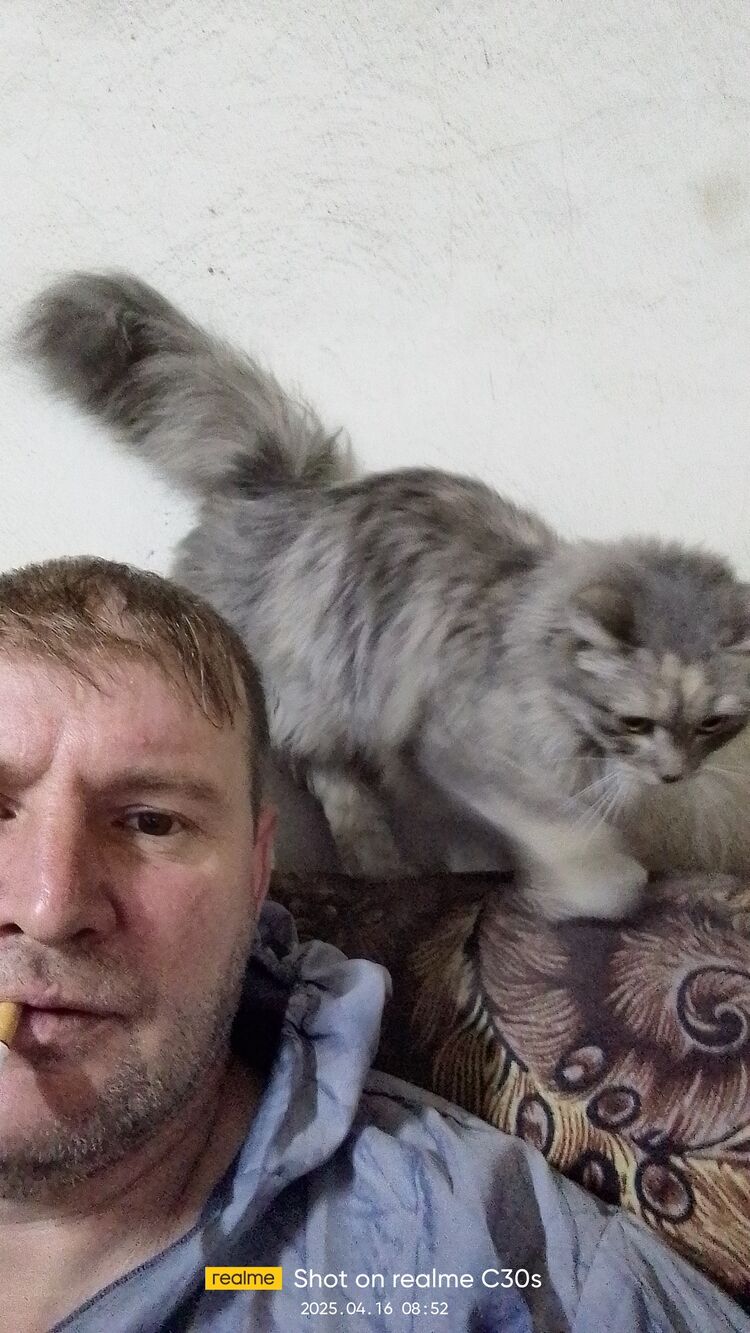  ,   , 47 ,   ,   