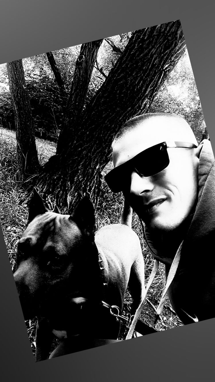 ���� 40867911 ������� ����������, 31 ���, ���� ���������� � �����