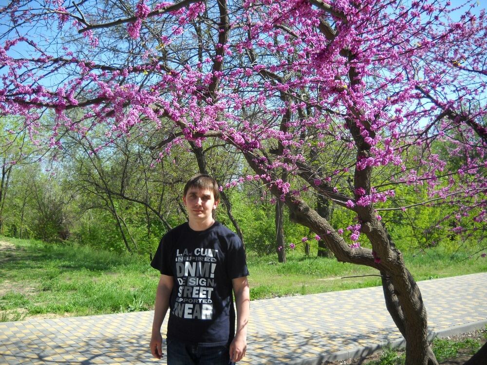 ���� 27230321 ������� ��������, 43 ����, ���� ���������� � ����������