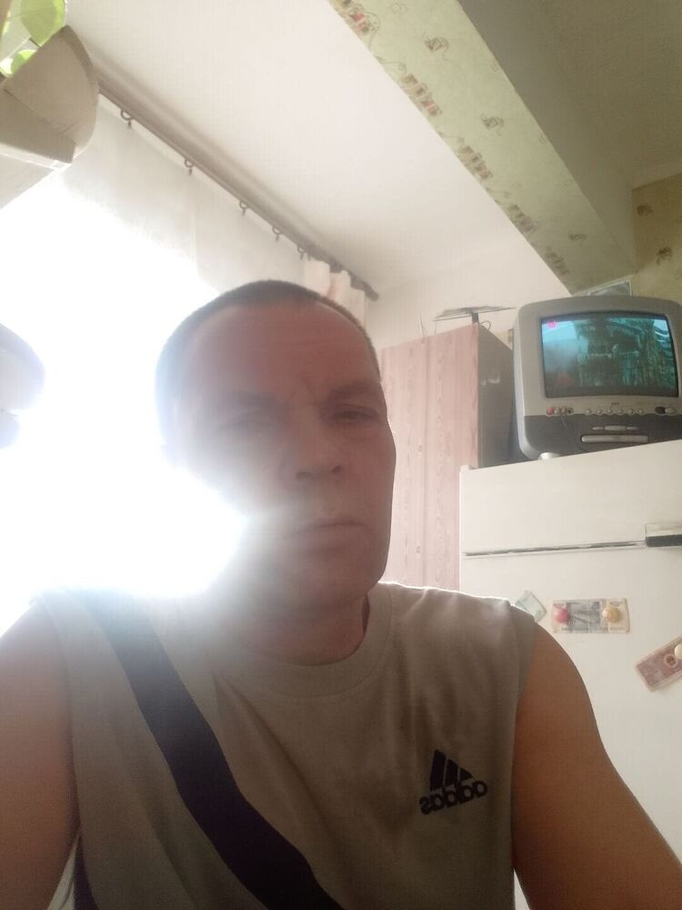  31927141  , 50 ,    