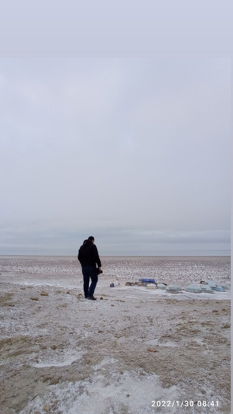  25362201  , 26 ,    