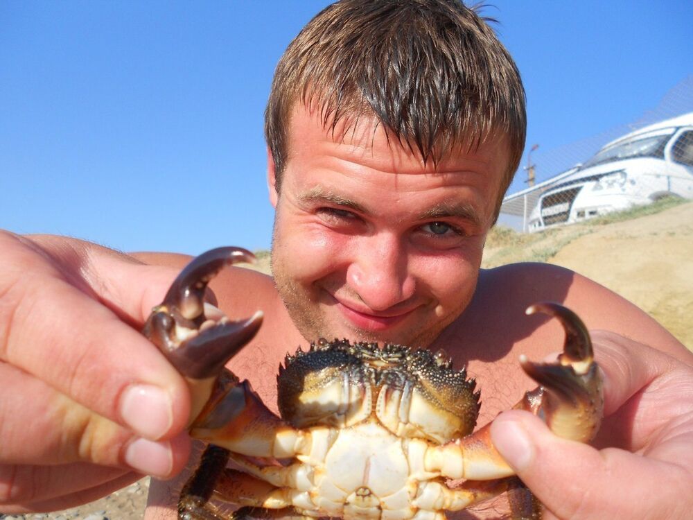 ���� 16813141 ������� ������, 37 ���, ���� ���������� � �����