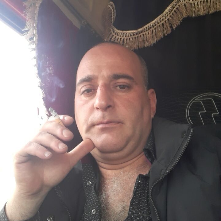  43375041  , 41 ,    