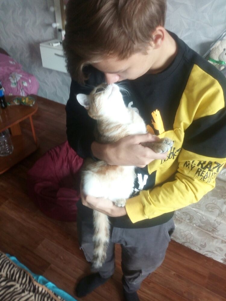 ���� 38193281 ����� �������, 23 ����, ���� ���������� � ����������