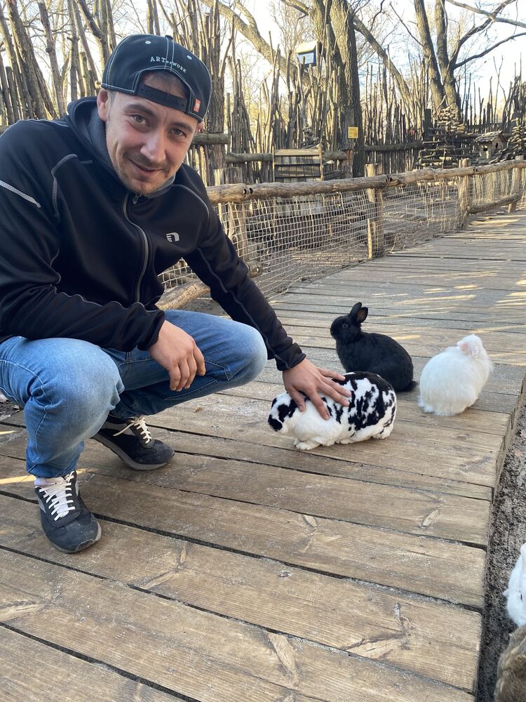  53548471  , 33 ,    --