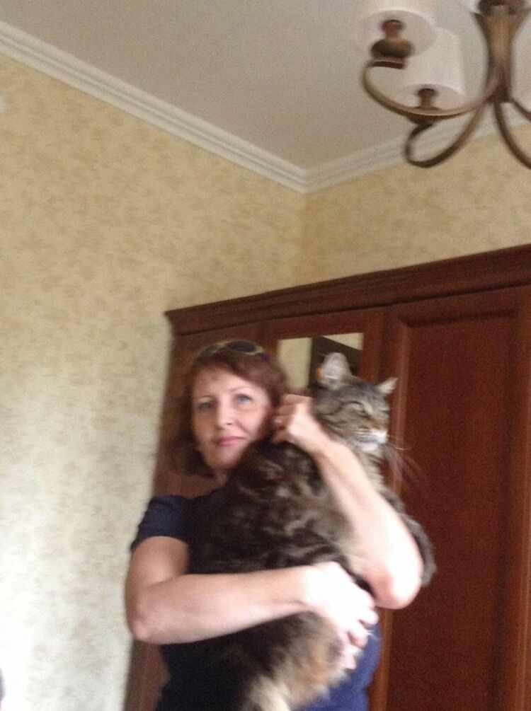 ,   , 53 ,   c 