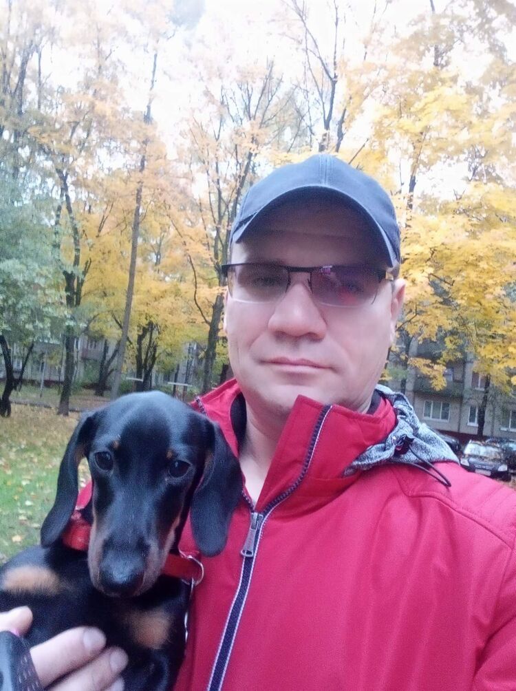 ���� 56182561 ������� �������, 50 ���, ���� ���������� � ���������