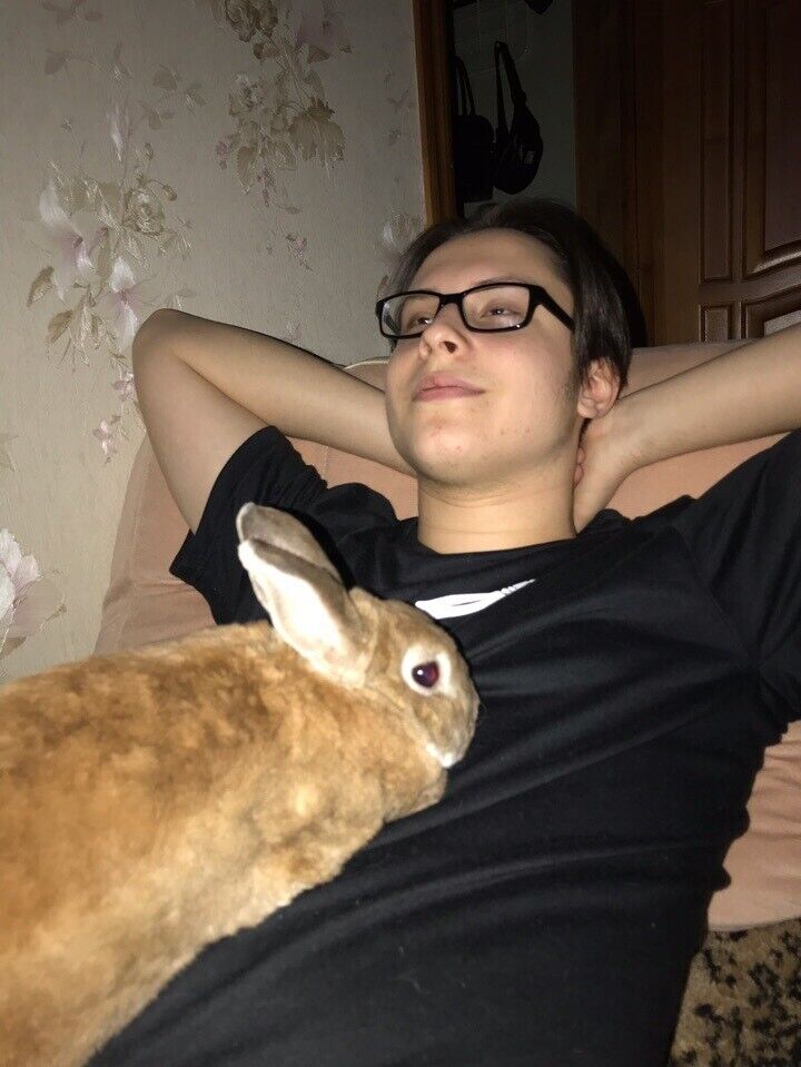 ���������� ������, ���� ����� ����, 23 ����, ������������ ��� ������, ����� � ���������