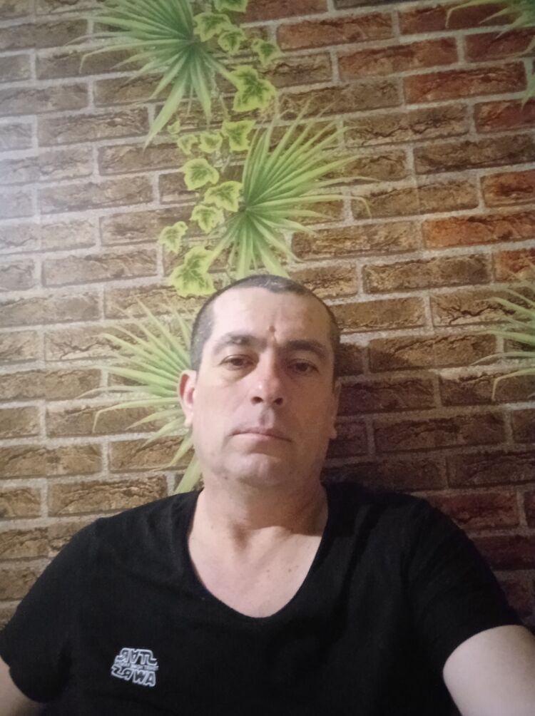  29097951  , 46 ,    