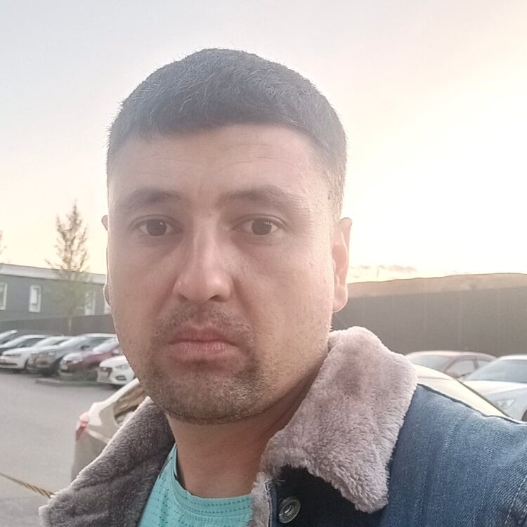  43151541  , 36 ,    